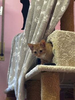 Oswald Bild von Oswald