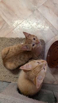 Oswald Bild von Oswald