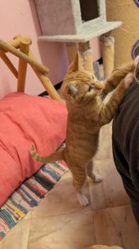 Oswald Bild von Oswald