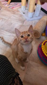 Oswald Bild von Oswald