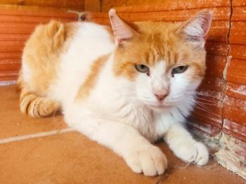 Rocky Bild von Rocky