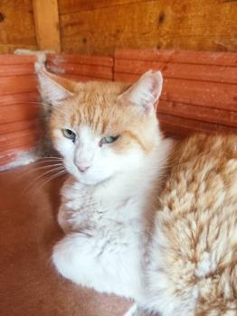 Rocky Bild von Rocky