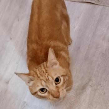 Asier Bild von Asier