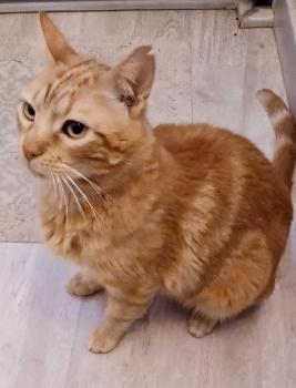 Asier Bild von Asier