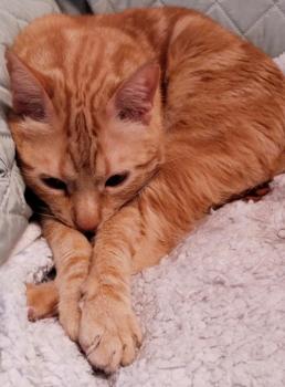 Asier Bild von Asier