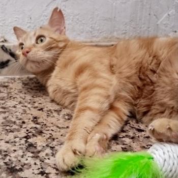 Asier Bild von Asier