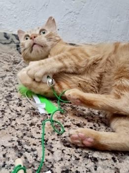 Asier Bild von Asier