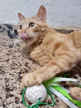 Asier Bild von Asier