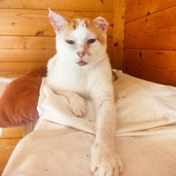 Manilo Bild von Manilo