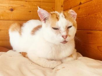 Manilo Bild von Manilo