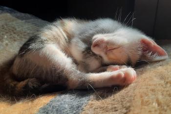 Agatha Bild von Agatha