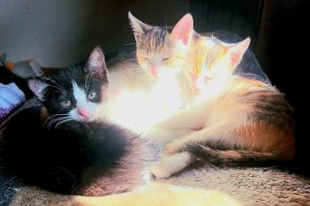 Agatha Bild von Agatha