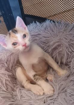 Agatha Bild von Agatha