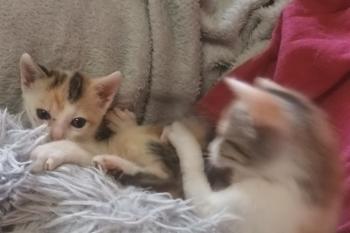 Agatha Bild von Agatha