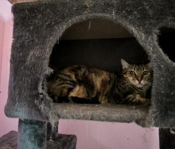 Loretta Bild von Loretta