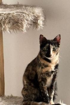 Neneh Bild von Neneh
