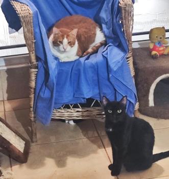 Shani Bild von Shani