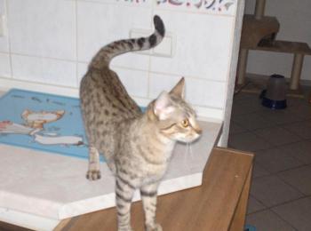 Bild von Txiki
