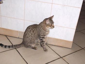 Bild von Txiki