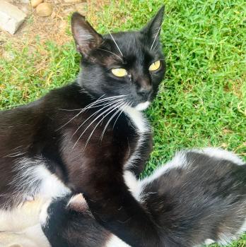 Felisa Bild von Felisa