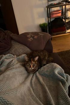 Yvette Bild von Yvette