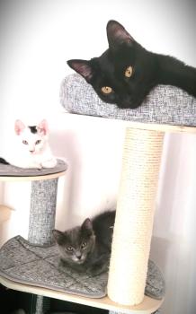 Punky Bild von Punky