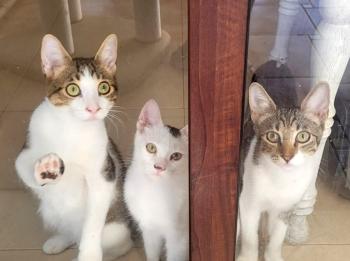 Punky Bild von Punky