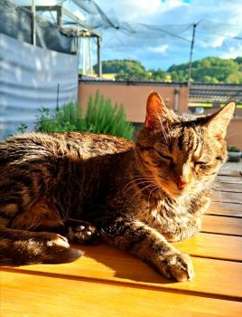 Jorge Bild von Jorge