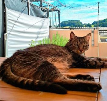 Jorge Bild von Jorge