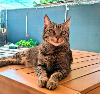 Jorge Bild von Jorge