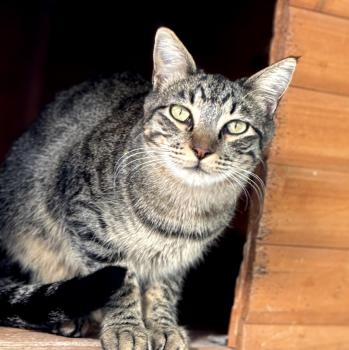 Twitt Bild von Twitt