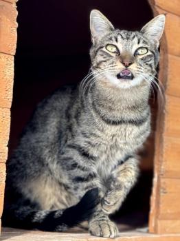 Twitt Bild von Twitt