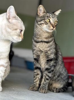 Twitt Bild von Twitt