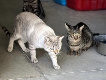 Twitt Bild von Twitt