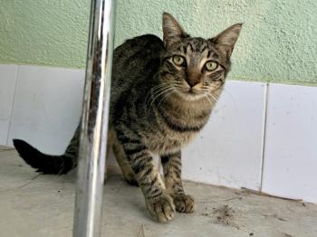 Twitt Bild von Twitt