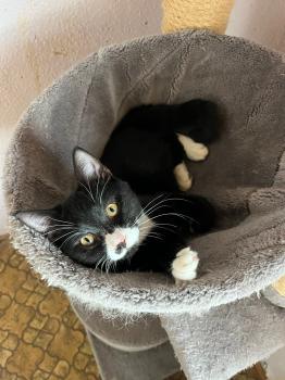 Viwaldi Bild von Viwaldi