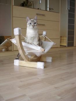 Bert Bild von Bert