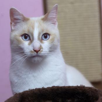 Snowi Bild von Snowi