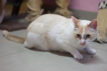 Snowi Bild von Snowi