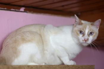 Snowi Bild von Snowi