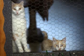 Snowi Bild von Snowi