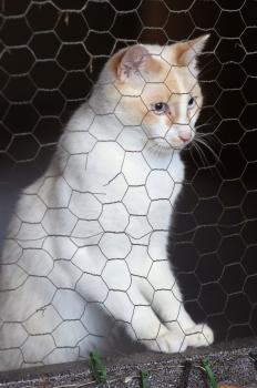 Snowi Bild von Snowi