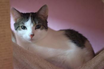 Mascha Bild von Mascha