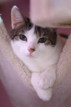 Mascha Bild von Mascha