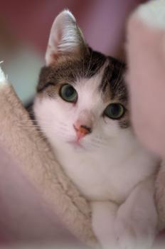 Mascha Bild von Mascha