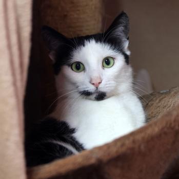 Victoria Bild von Victoria