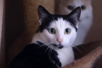 Victoria Bild von Victoria