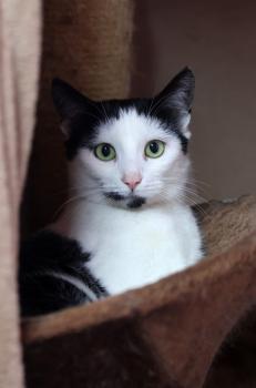 Victoria Bild von Victoria