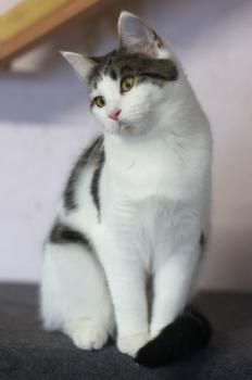 Streusel Bild von Streusel