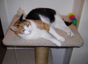 Milindi Bild von Milindi